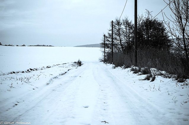 Bild: Eigentlich ist ja Winter...