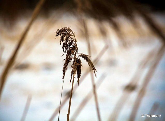 Bild: Wetter-Bild