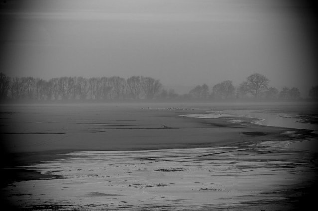 Bild: Wetter-Bild