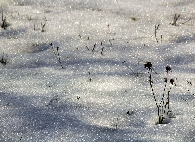Bild: Ist das ein Winter...
