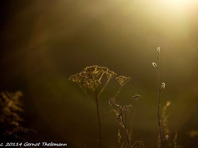Bild: Wetter-Bild