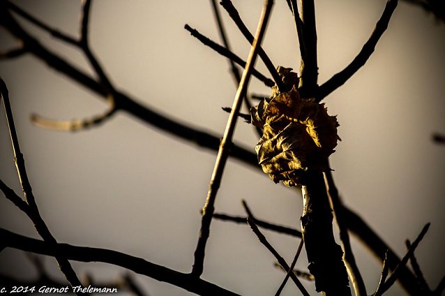 Bild: Wetter-Bild