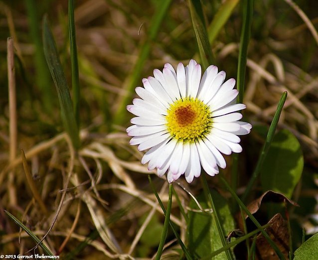 Bild: Wetter-Bild