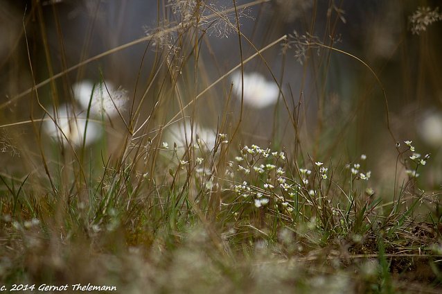 Bild: Wetter-Bild