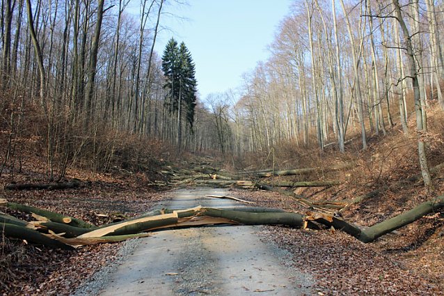 Bild: Neues aus Sondershausen