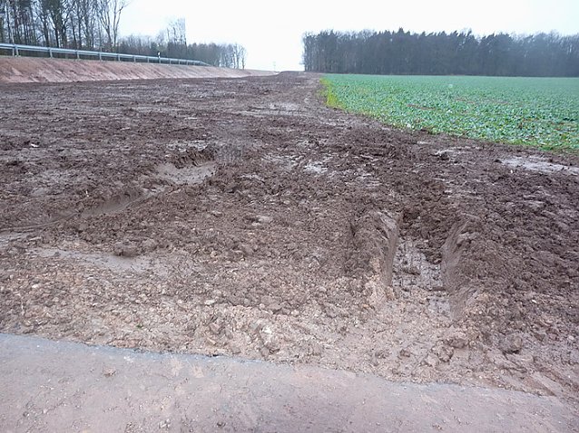 Bild: Spur im Schlamm