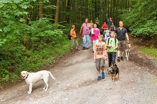 Bild: Der Tag des Hundes...