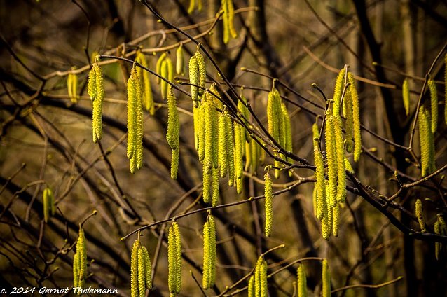 Bild: Wetterbild