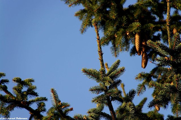 Bild: Wetter-Bild
