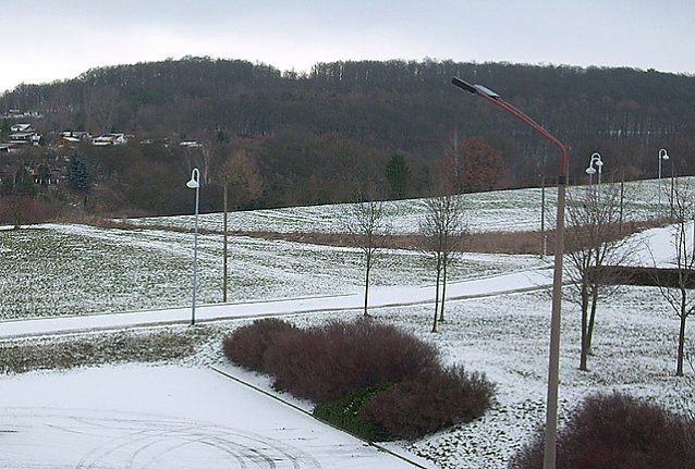 Bild: Schneemangel Sondershausen