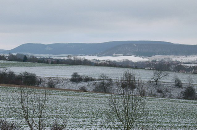 Bild: Schneemangel Sondershausen