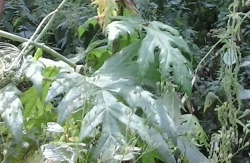 Bild: Aufpassen am Wanderweg