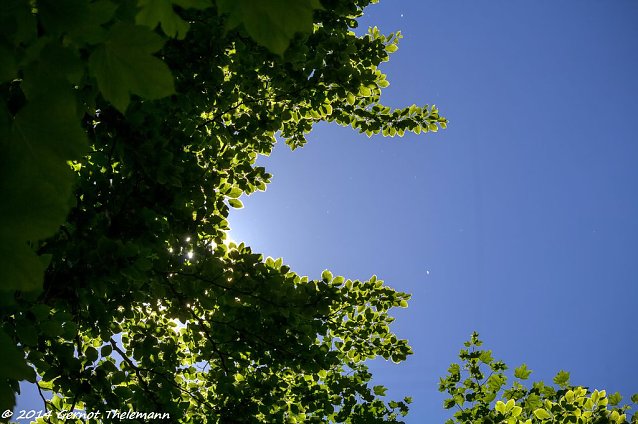 Bild: Wetter-Bild