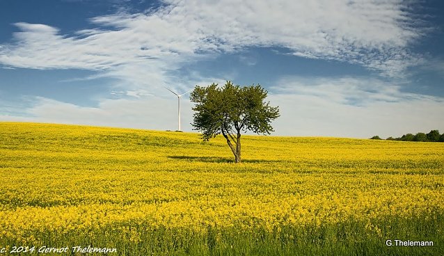 Bild: Wetter-Bild