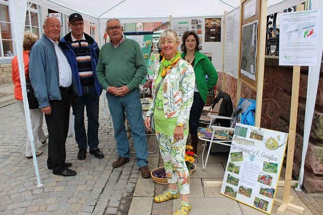 Bild: Besuch beim Pflanzenmarkt lohnt