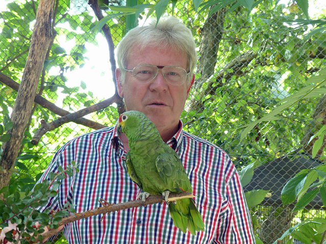 Bild: V&ouml;gel, einer sch&ouml;ner als der andere