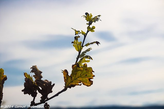 Bild: Wetterbild
