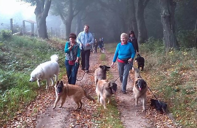 Bild: Herbstwanderung des Sondersh&auml;user Hundevereins