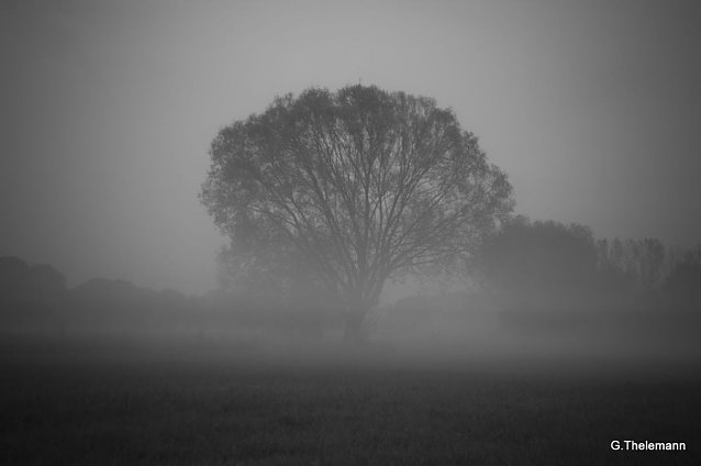 Bild: Wetterbild