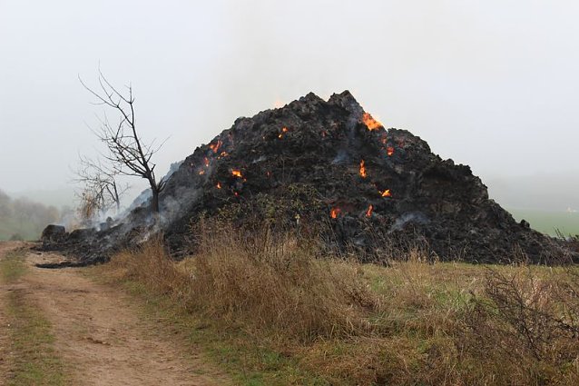 Bild: Weiteres zum Brand bei Bendeleben