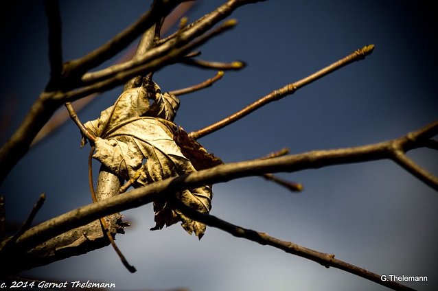 Bild: Wetterbild