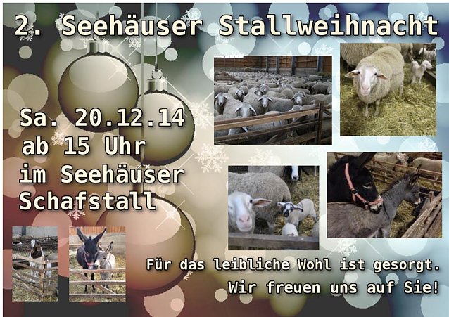 Bild: 2. Seeh&auml;user Stallweihnacht