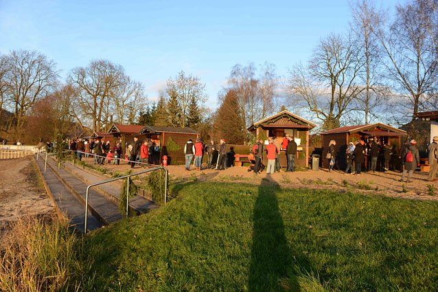 Bild: Weihnachtsromantik am Teich