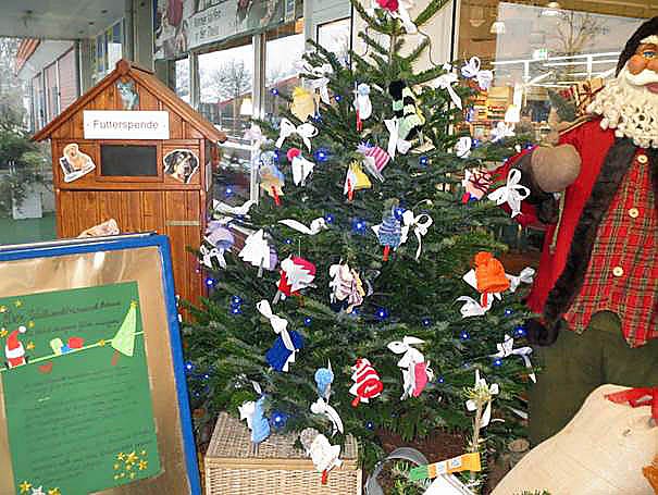 Bild: Weihnachtswunschbaum in Artern aufgestellt