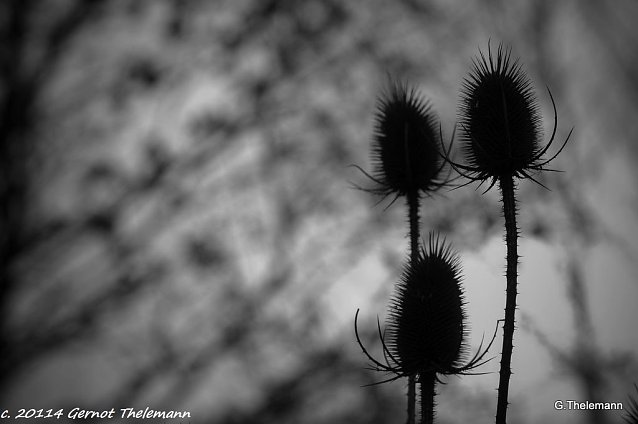 Bild: Wetter-Bild