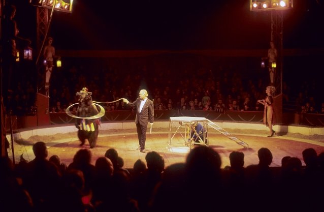 Bild: Zirkus Berousek