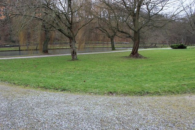 Bild: Maulwurfsinvasion im Schlosspark Sondershausen?