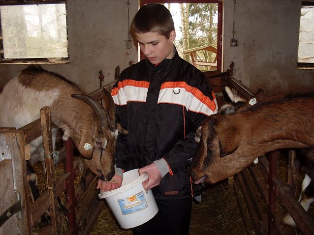 Bild: Tiere f&uuml;ttern, spielen, Natur erleben - das Wintercamp in Harzrigi hat wieder viel zu bieten