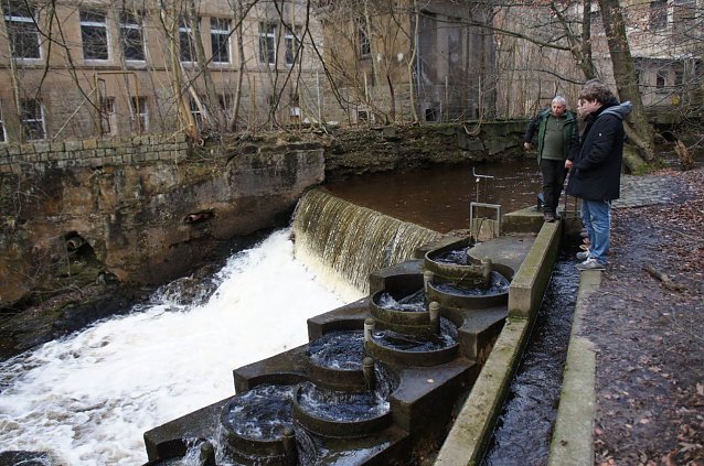 Bild: Die Fischtreppe an der alten Schokoladenfabrik Friedel in Wernigerode