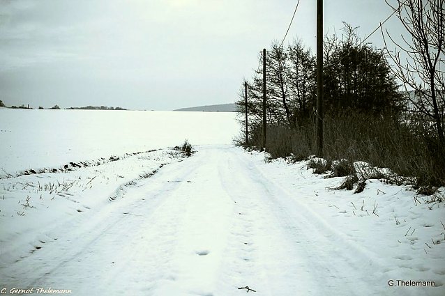Bild: Wetter-Bild