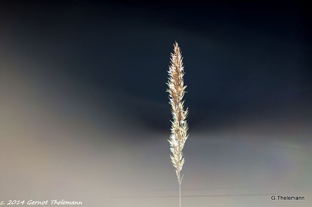Bild: Wetterbild
