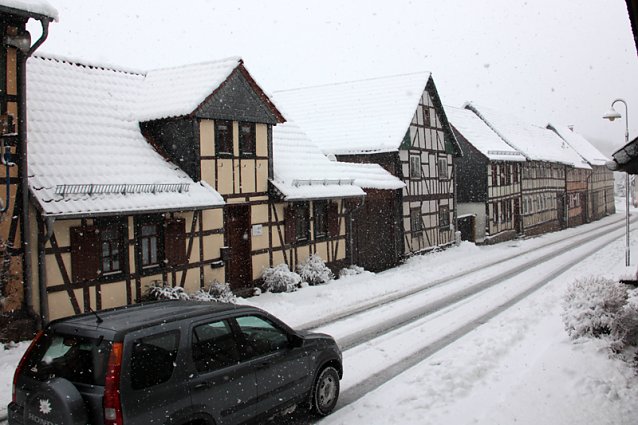 Bild: Winter im April - V&ouml;gel im Schnee