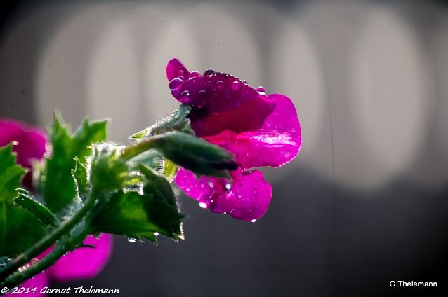Bild: Wetterbild