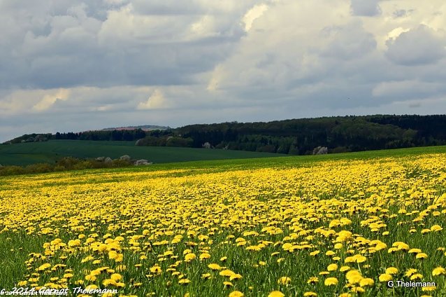 Bild: Wetterbild