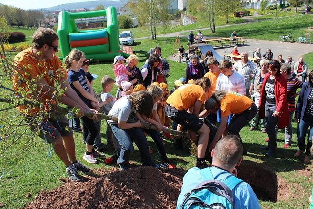 Bild: Bereits 10. Baumfest in Sondershausen