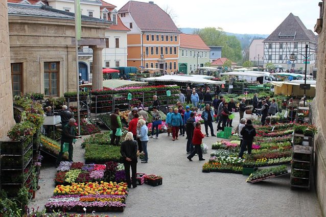 Bild: Gewimmel auf dem Pflanzenmarkt