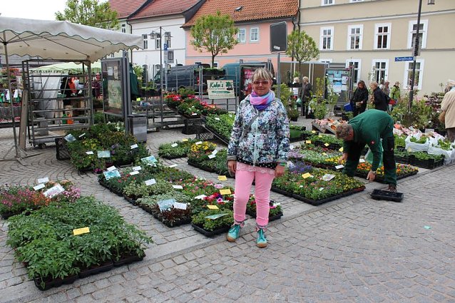 Bild: Gewimmel auf dem Pflanzenmarkt