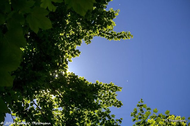 Bild: Wetterbild