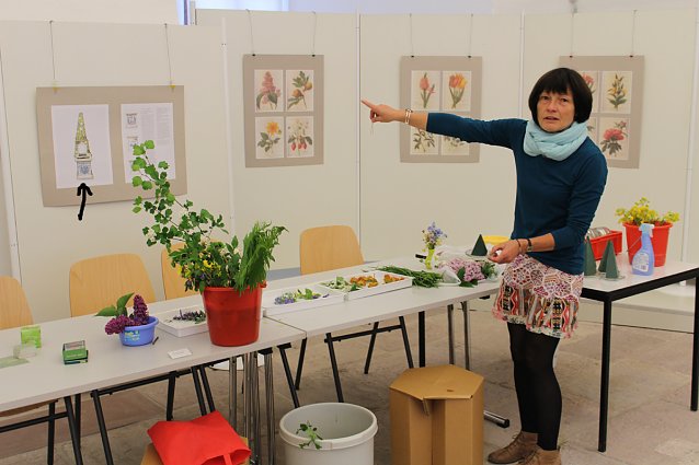 Bild: Museumstag mit vielen Angeboten