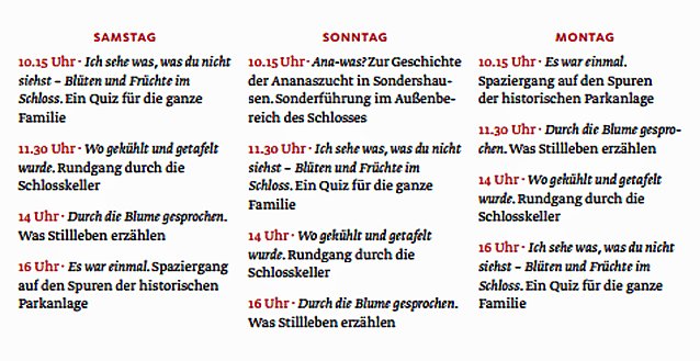 Bild: Programm