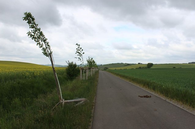 Bild: Vandalismus am Radweg?