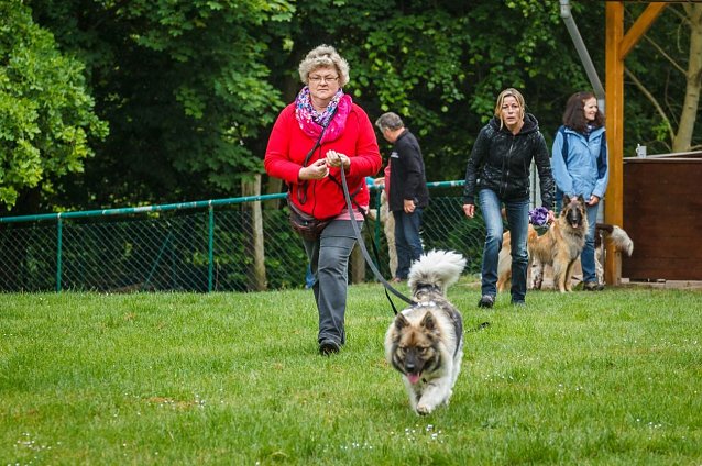 Bild: Mantrailing-Seminar auf dem Sondersh&auml;user Hundeplatz