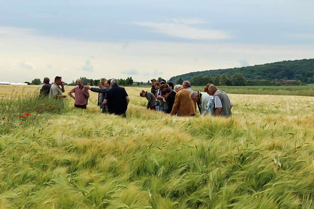 Bild: Landwirte auf Flurfahrt