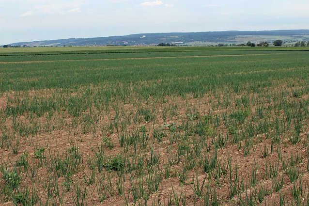 Bild: Landwirte auf Flurfahrt