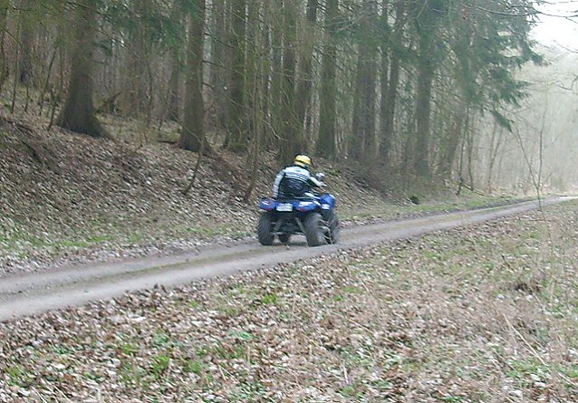 Bild: Wanderer unterwegs