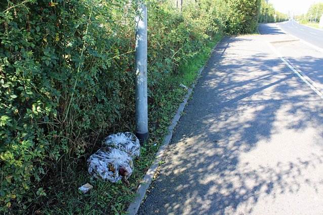 Bild: Erspart die Biotonne